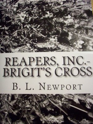 cover image of Brigit's Cross